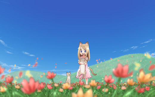 1016824 (a): :1920x1200